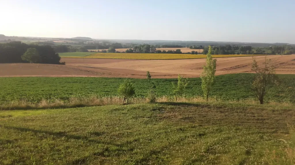 Vue depuis le gîte